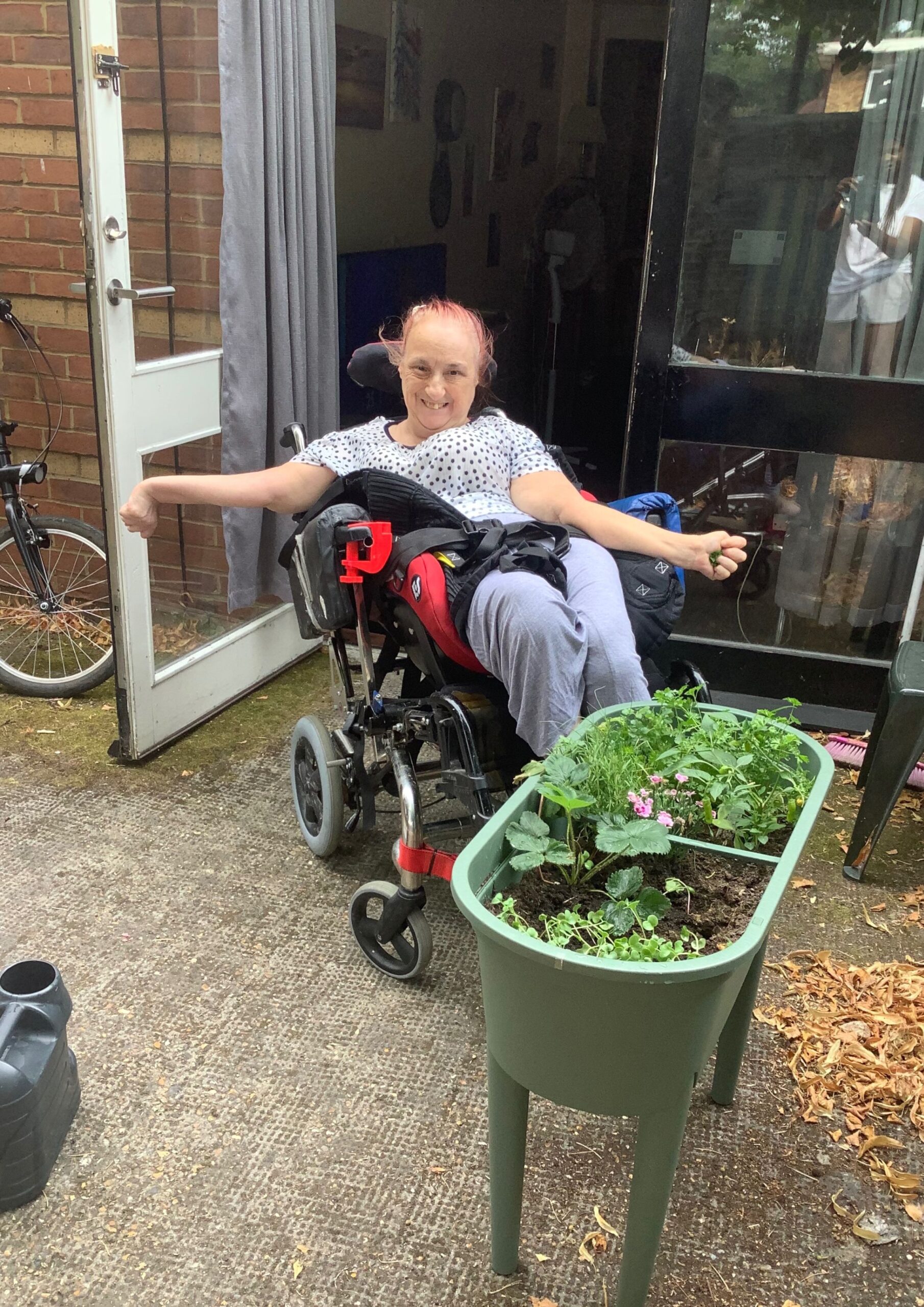 Year-round herb garden maintained in winter